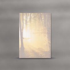MAYSPIES Trauerparte "Herbstwald" 