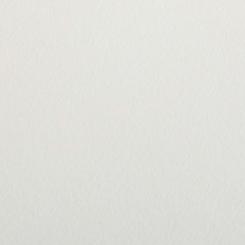 Colorplan® Papier Vellum White 