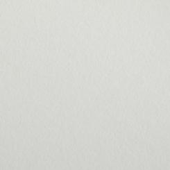 Colorplan® Papier Mist 