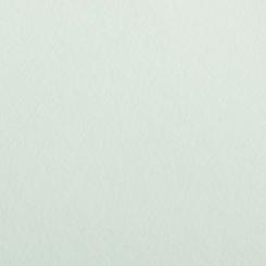 Colorplan® Papier Pistachio 