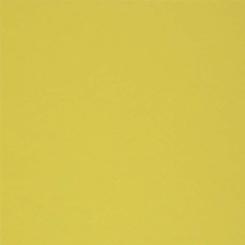 Colorplan® Papier Chartreuse 