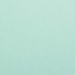 Colorplan® Papier Park Green 