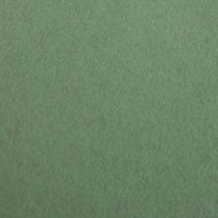 Colorplan® Papier Mid Green 
