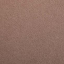 Colorplan® Papier Nubuck Brown 