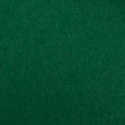 Colorplan® Papier Forest 