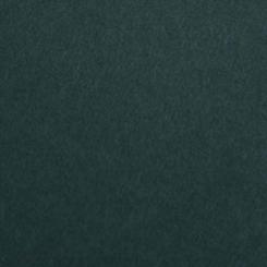 Colorplan® Papier Racing Green 