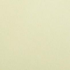Colorplan® Papier Sorbet Yellow 