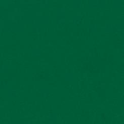 ZETA® colors Papier Forest Green 