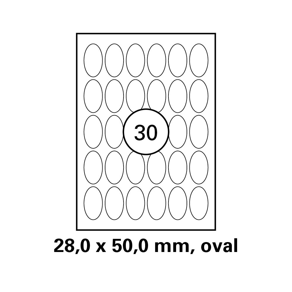 morepic-1