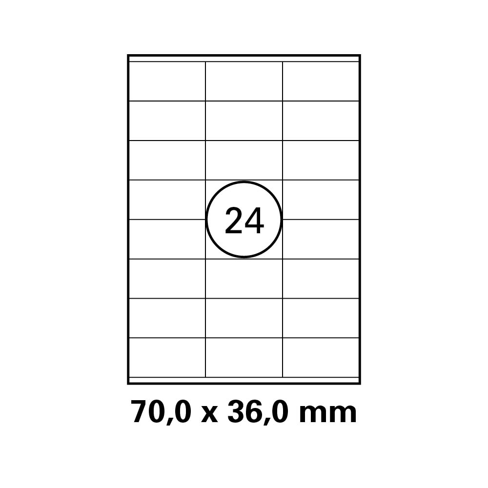 morepic-1