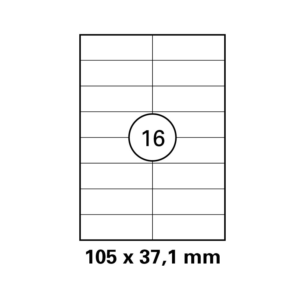 morepic-1