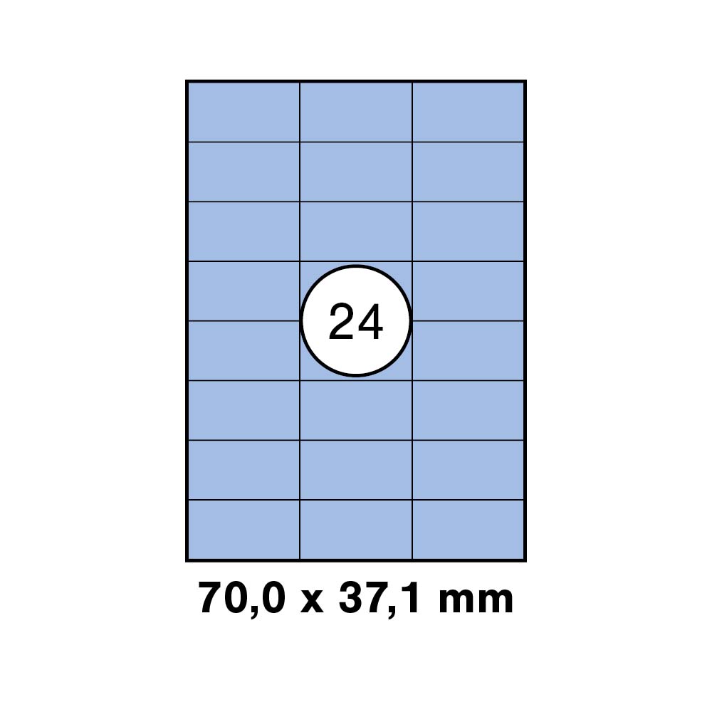 morepic-1