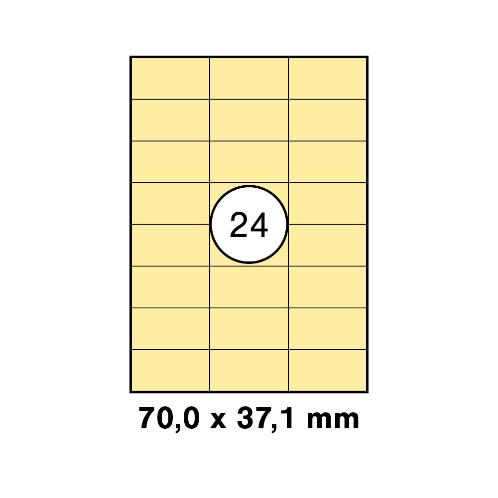 morepic-1