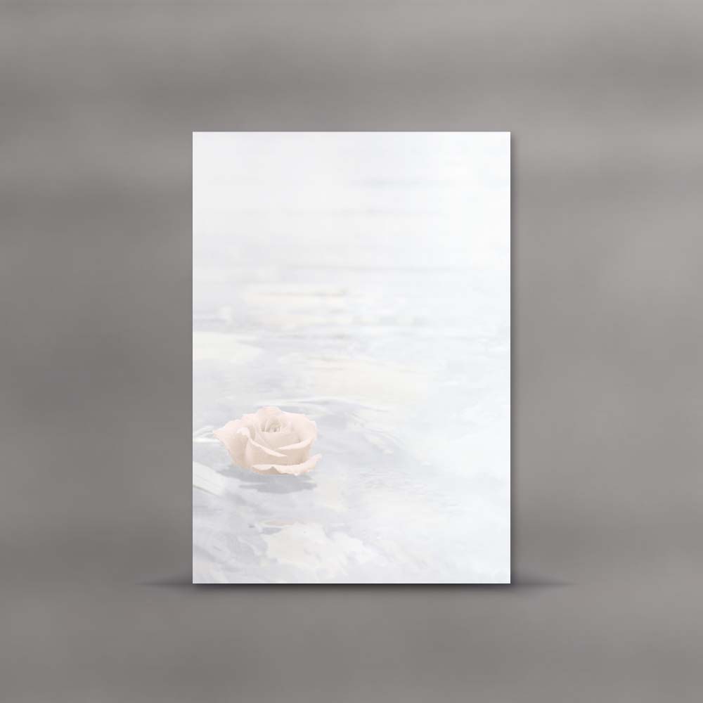 morepic-1