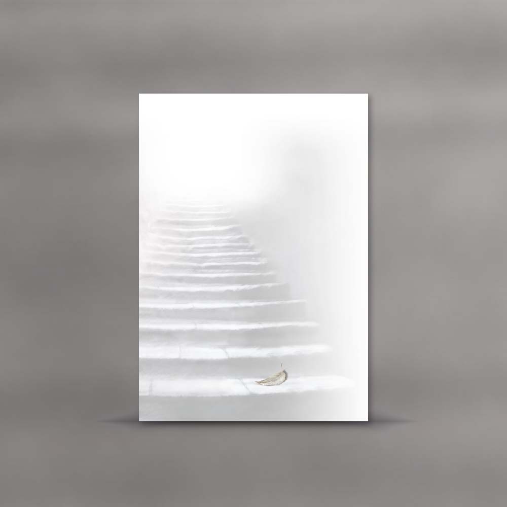 morepic-1