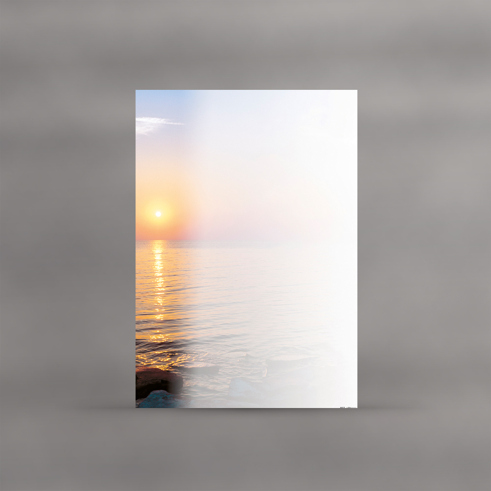 morepic-1