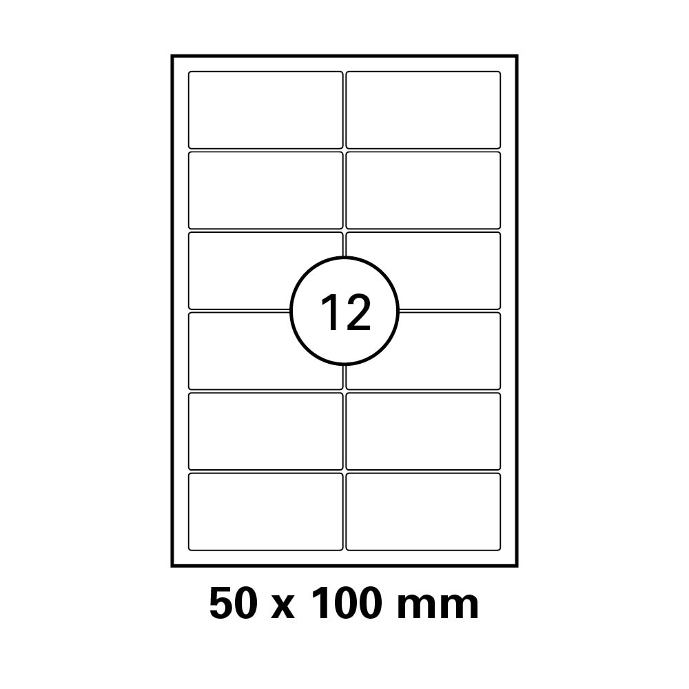 morepic-1
