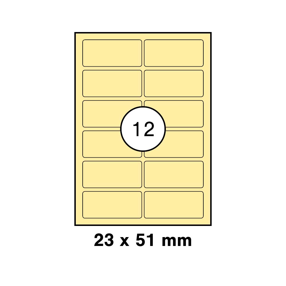 morepic-1