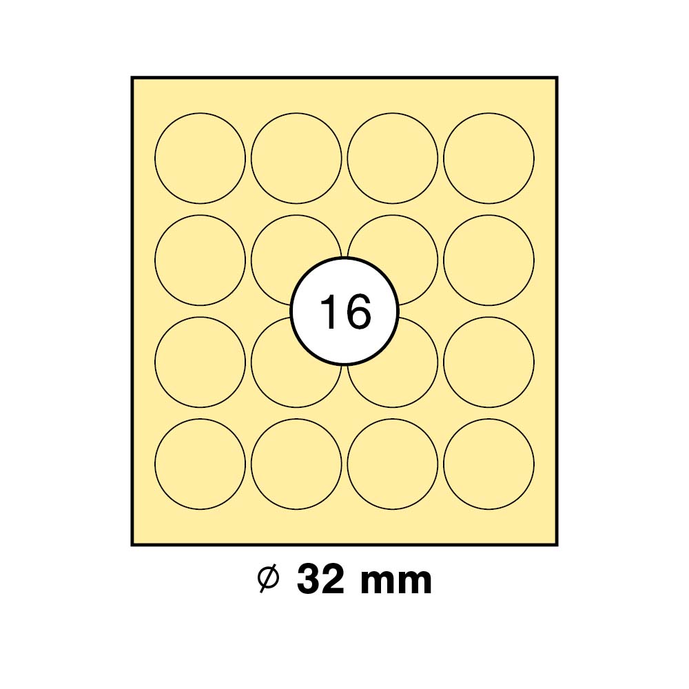 morepic-1