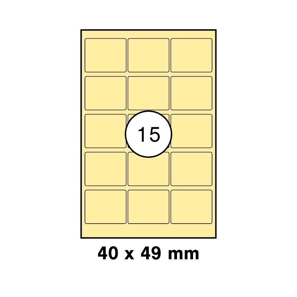 morepic-1