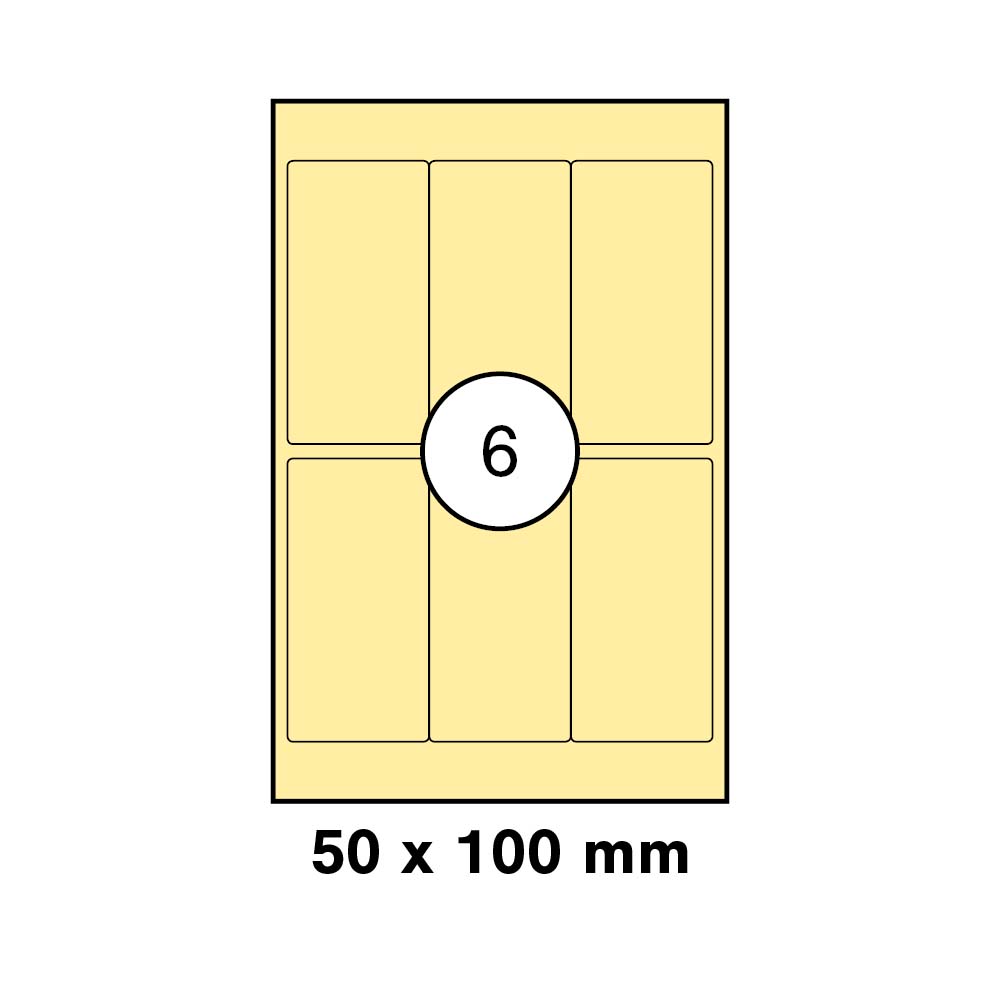 morepic-1
