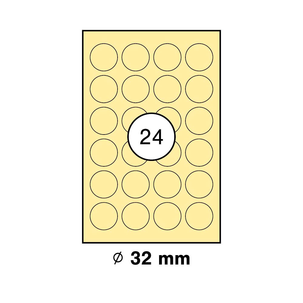 morepic-1