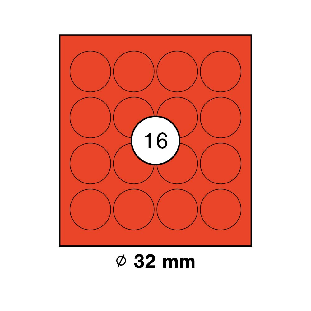 morepic-1