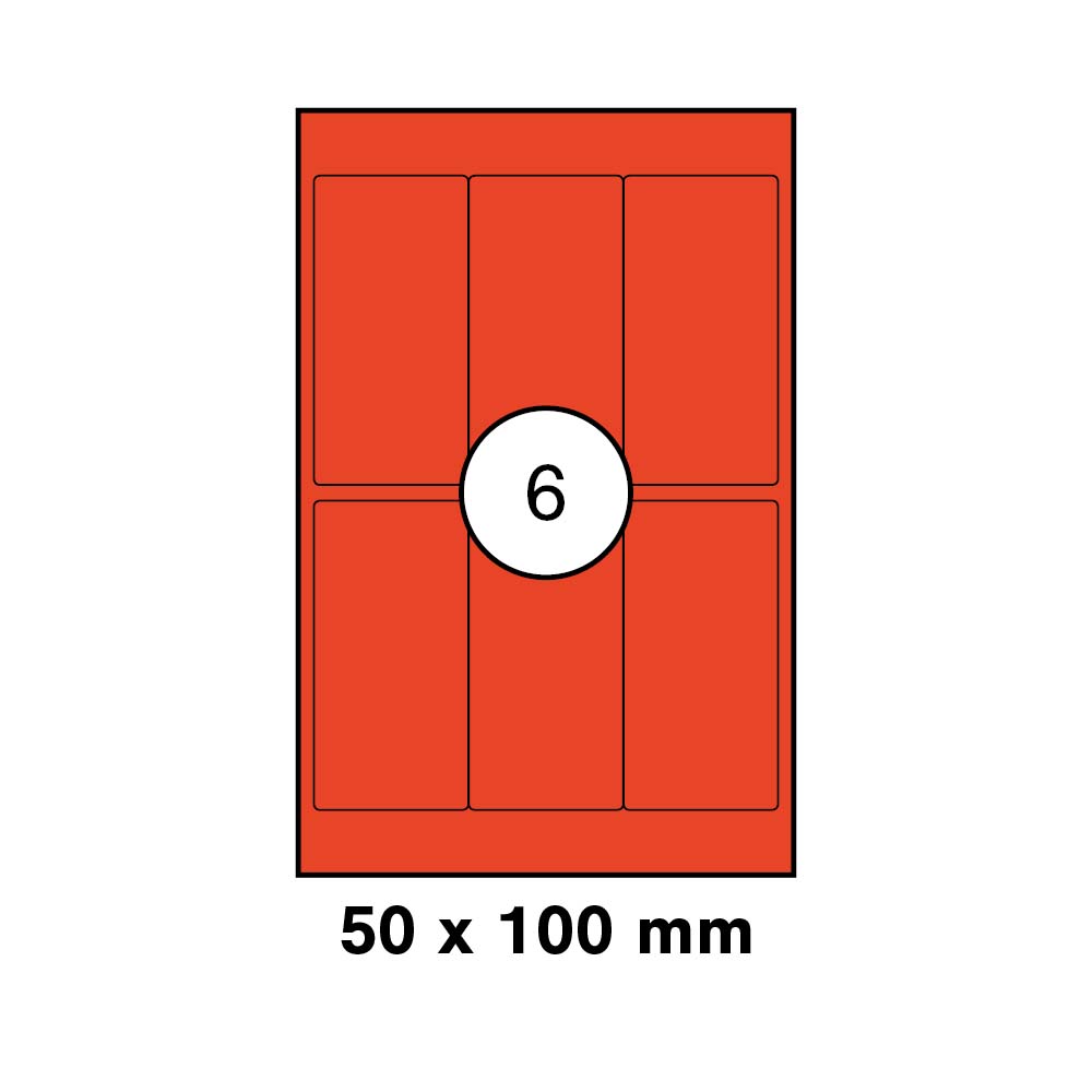 morepic-1