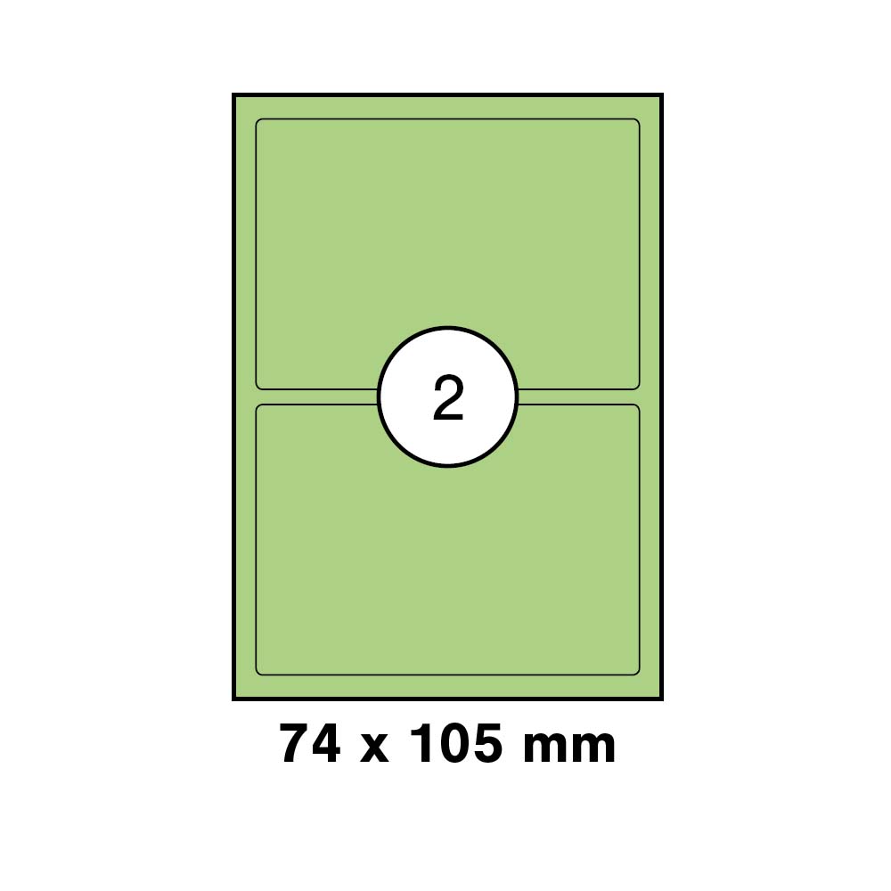 morepic-1