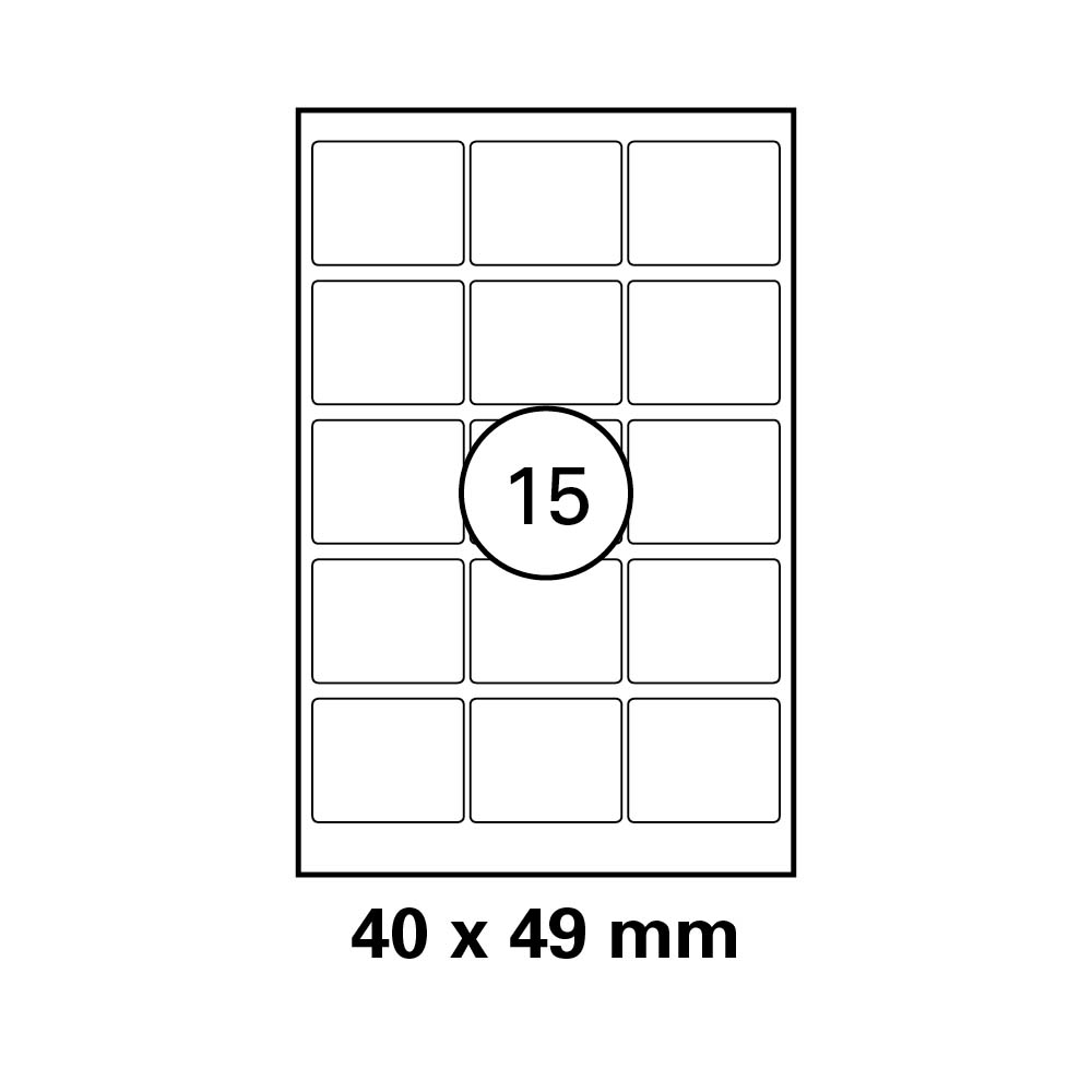 morepic-1
