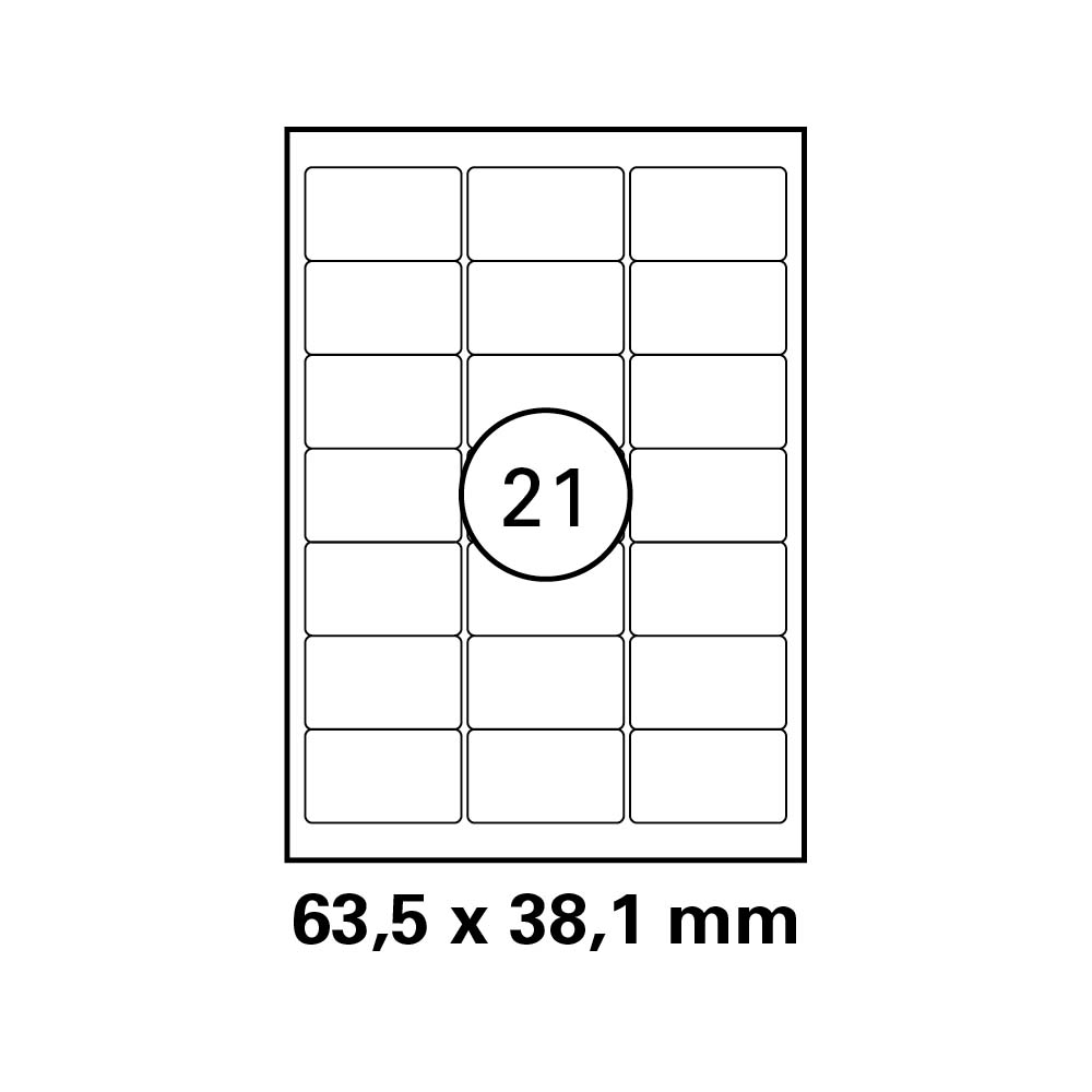morepic-1