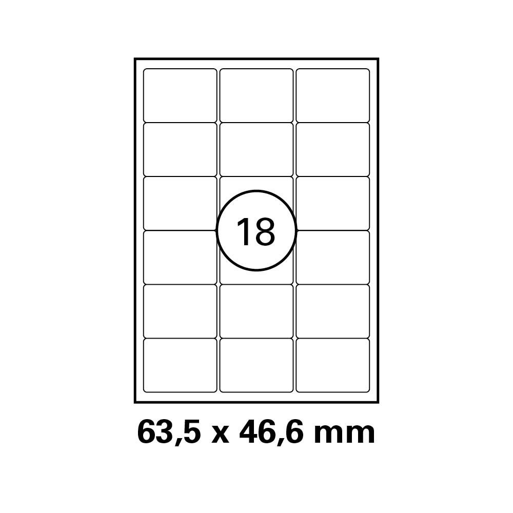 morepic-1