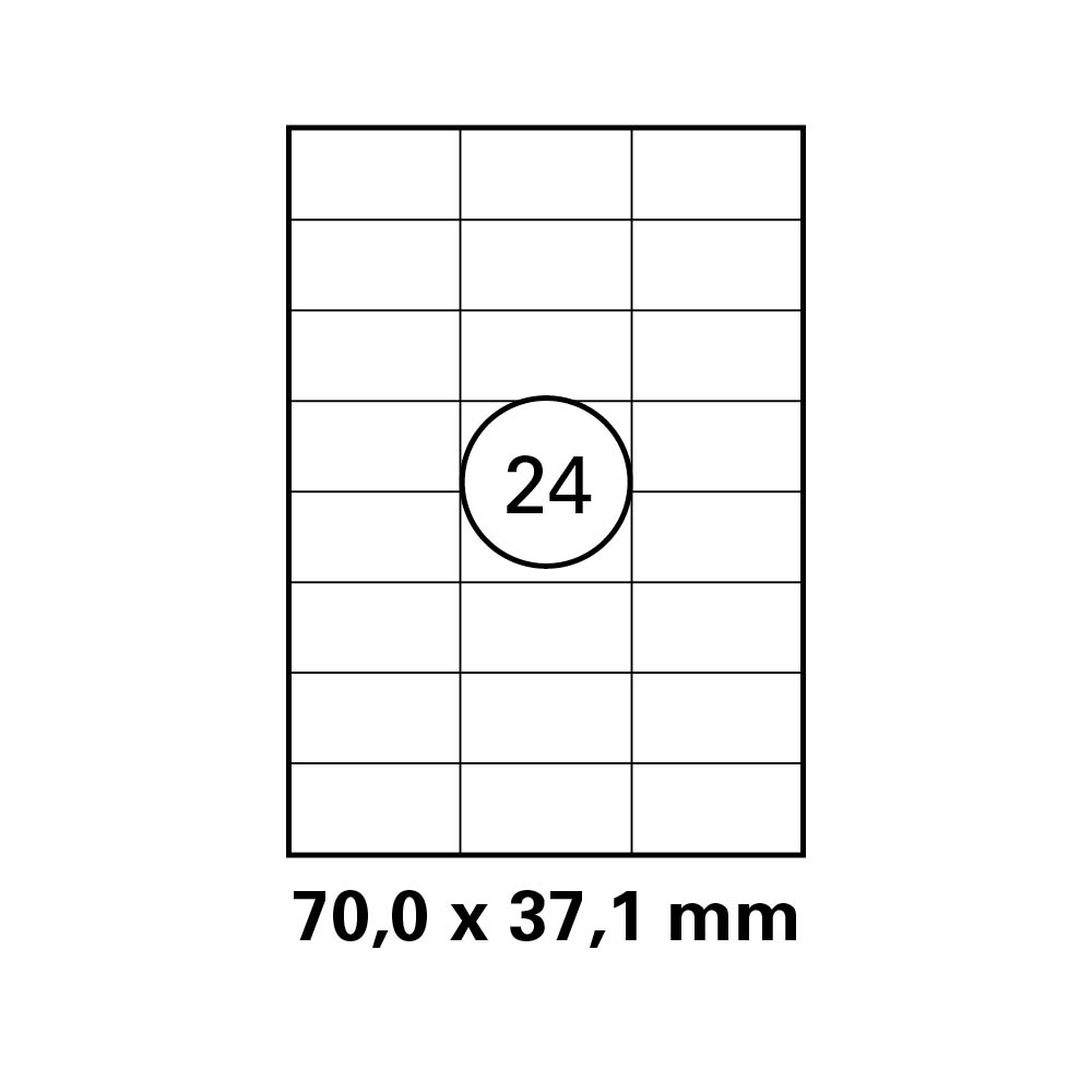 morepic-1