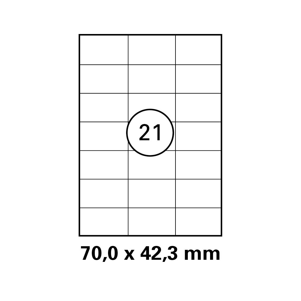 morepic-1
