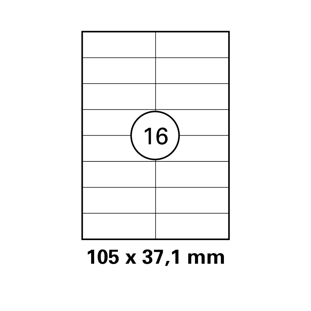 morepic-1