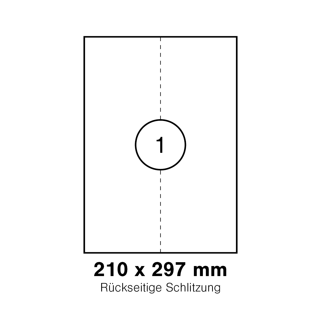 morepic-1