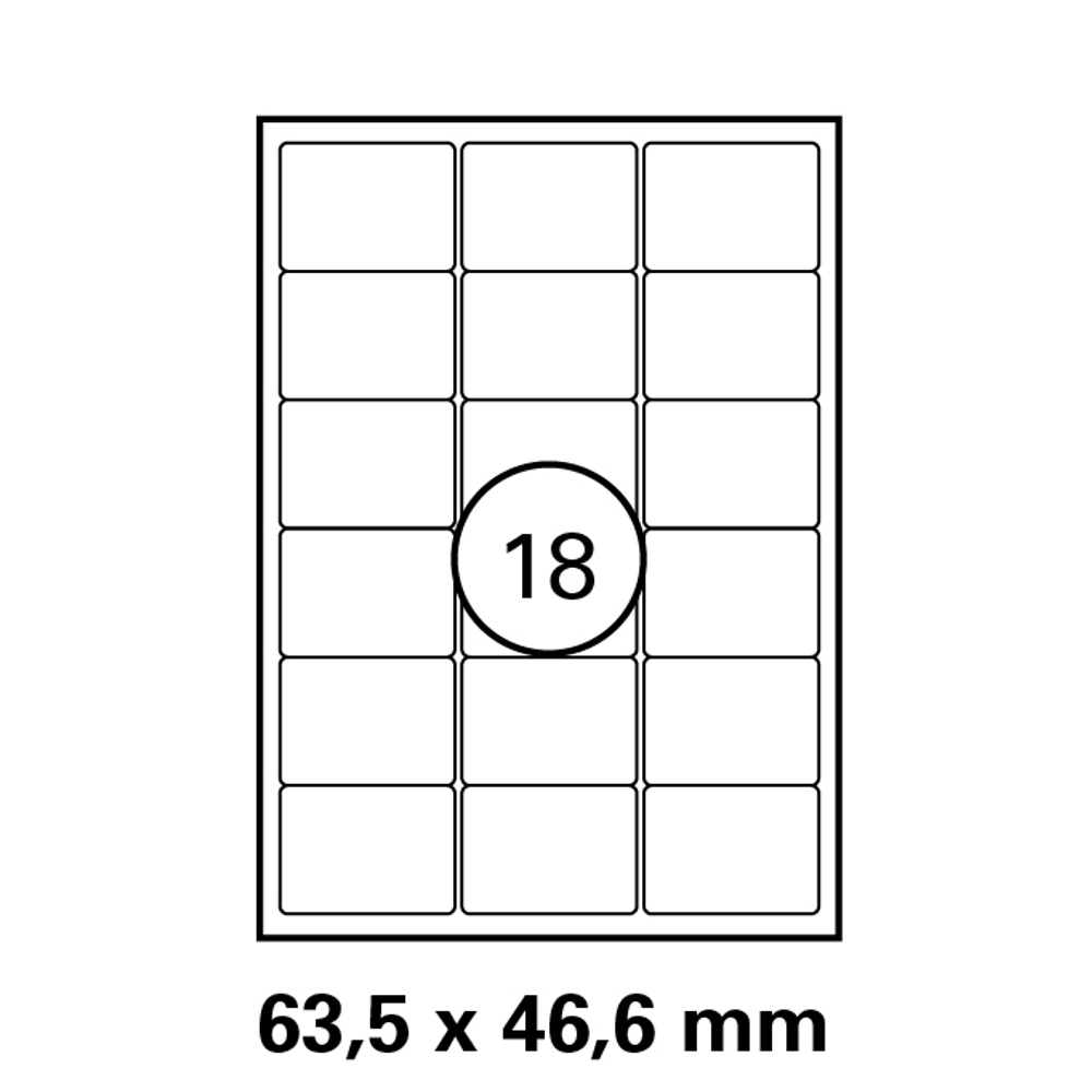 morepic-1