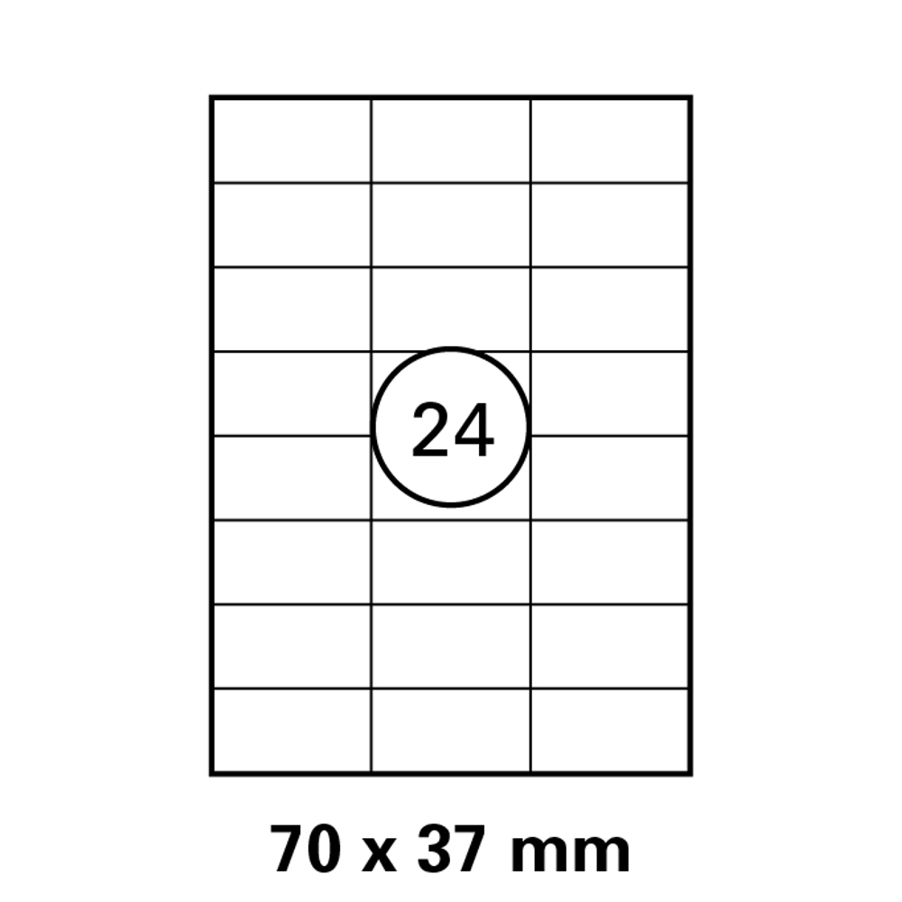 morepic-1