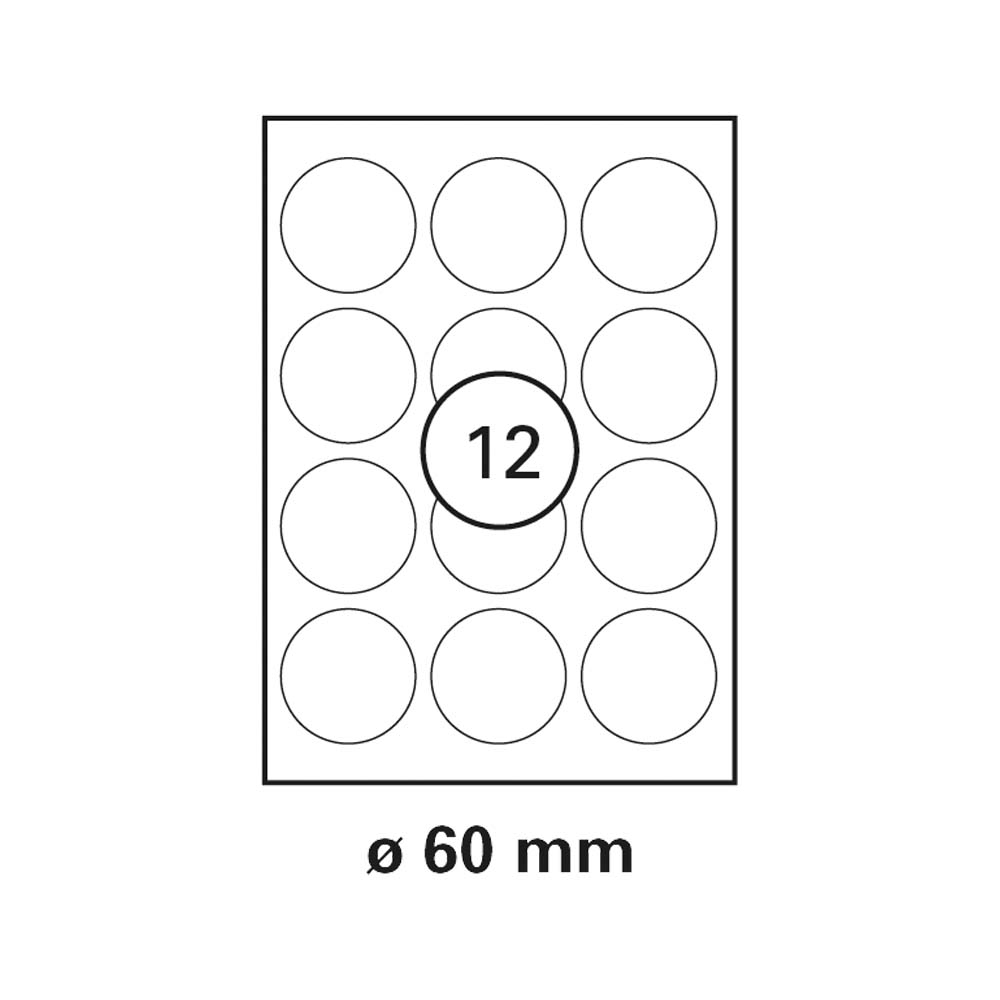 morepic-1