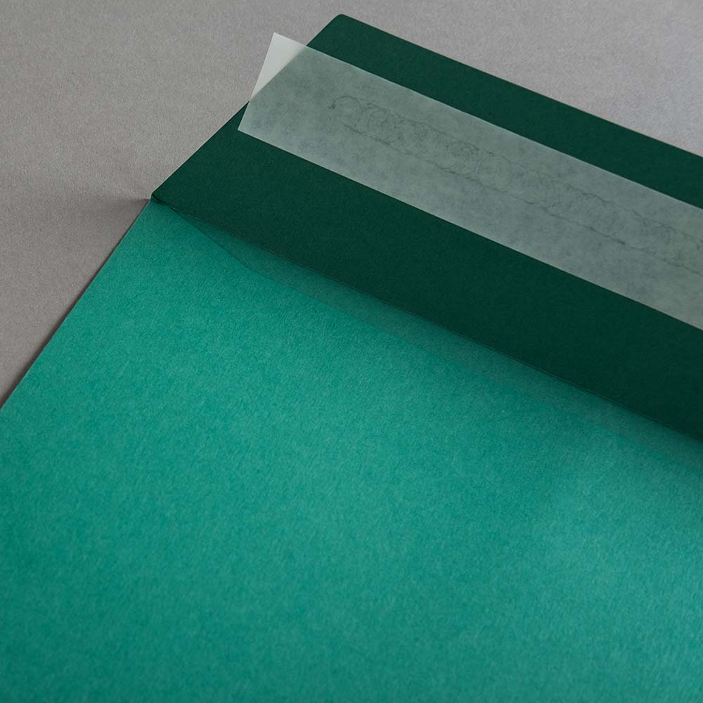 morepic-2